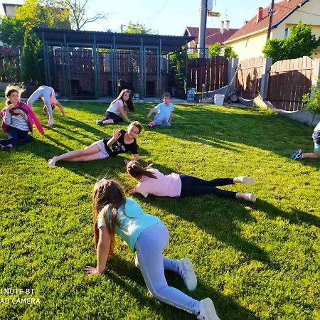 Domacinska Kuca بيت خشبي